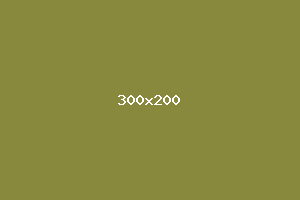 placeholder
