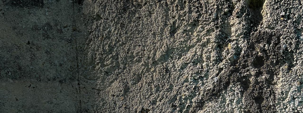 laveritadellamemoria-sfondo.jpg